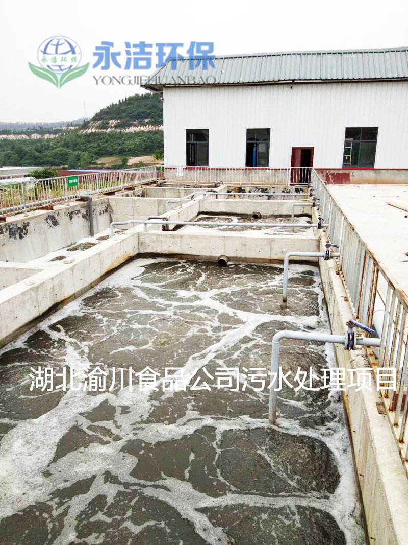 湖北渝川泡菜废水MK（中国）